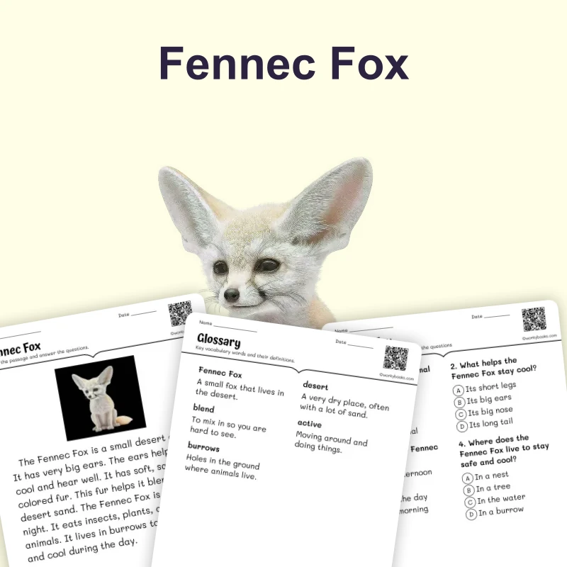 Fennec Fox — ela — reading comprehension for Grade 1, Grade 2, Grade 3, page 1 of 4