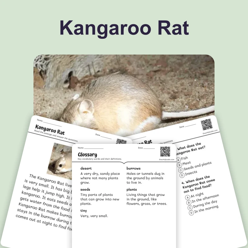 Kangaroo Rat — ela — reading comprehension for Grade 1, Grade 2, Grade 3, page 1 of 4