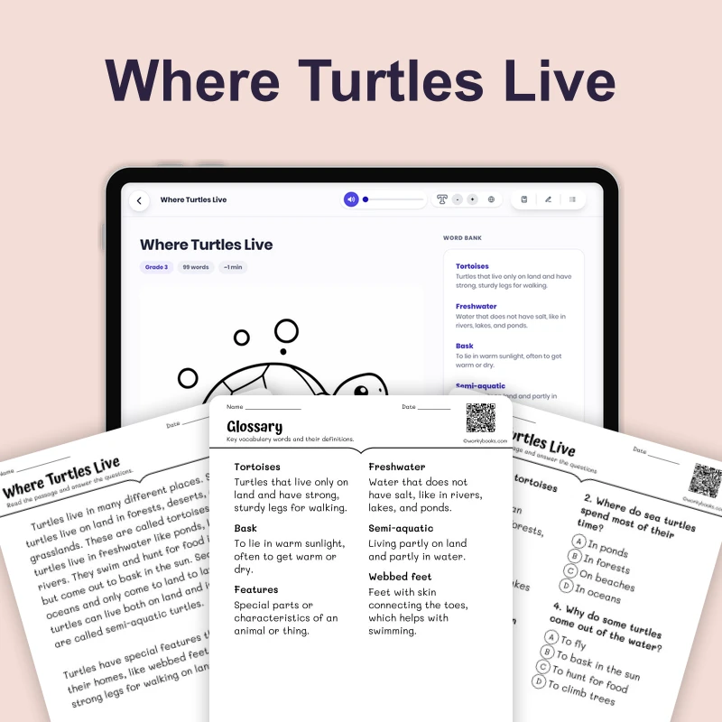 Where Turtles Live — ela — reading comprehension for Grade 1, Grade 2, Grade 3, page 1 of 4