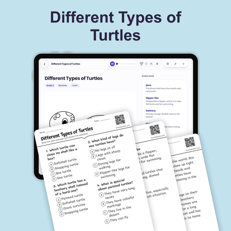 Different Types of Turtles — ela — reading comprehension for Grade 1, Grade 2, Grade 3, page 1 of 4
