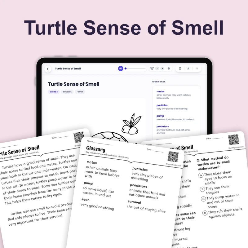 Turtle Sense of Smell — ela — reading comprehension for Grade 1, Grade 2, Grade 3, page 1 of 4
