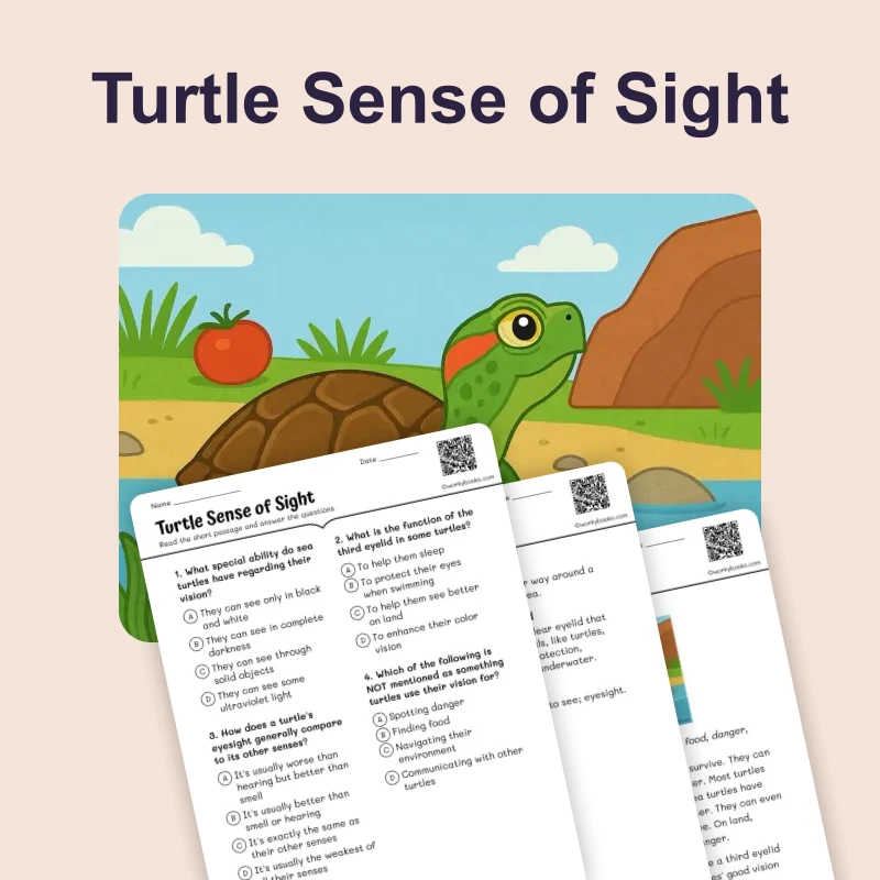 Turtle Sense of Sight — ela — reading comprehension for Grade 1, Grade 2, Grade 3, page 1 of 4