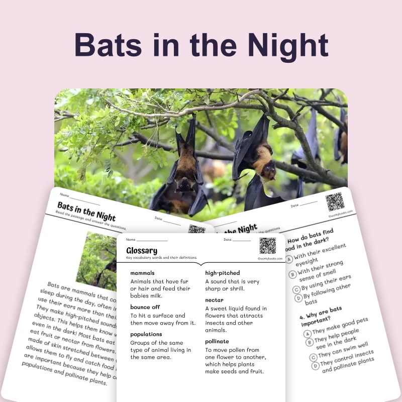 Bats in the Night — ela — reading comprehension for Grade 1, Grade 2, Grade 3, page 1 of 4