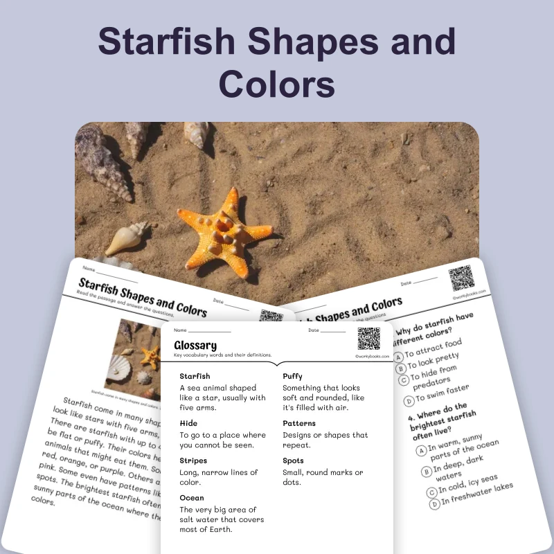 Starfish Shapes and Colors — ela — reading comprehension for Grade 1, Grade 2, page 1 of 4