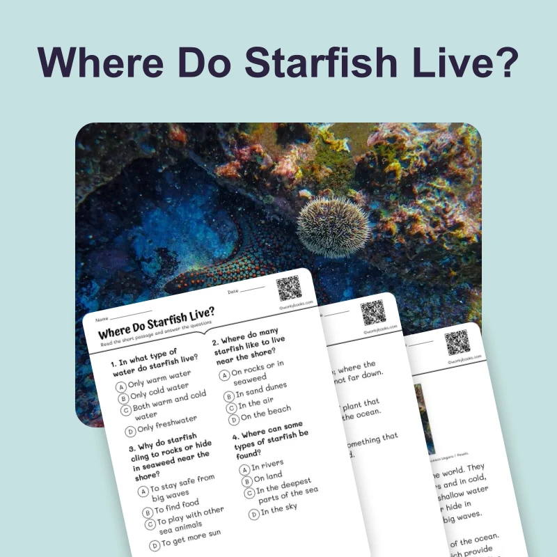 Where Do Starfish Live? — ela — reading comprehension for Grade 3, Grade 4, Grade 5, page 1 of 4