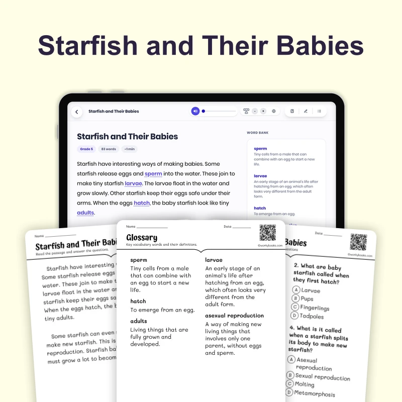 Starfish and Their Babies — ela — reading comprehension for Grade 1, Grade 2, page 1 of 4