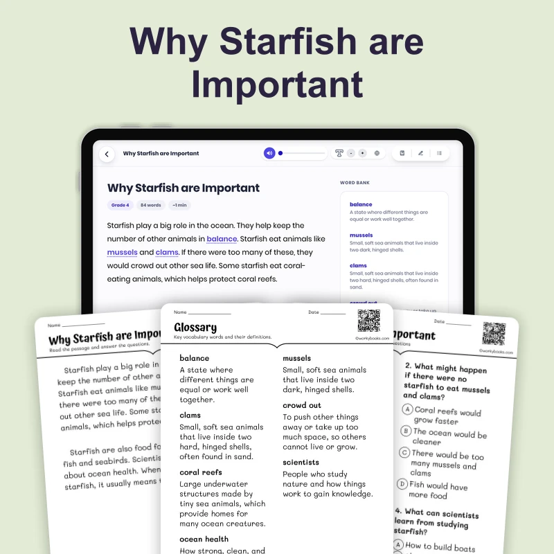 Why Starfish are Important — ela — reading comprehension for Grade 1, Grade 2, page 1 of 4