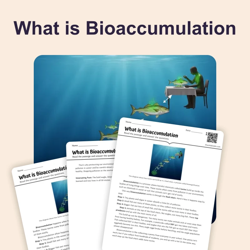 What is Bioaccumulation — ela — reading comprehension for Grade 3, Grade 4, Grade 5, Grade 6, page 1 of 4