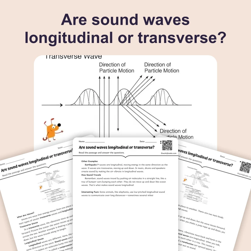 Are sound waves longitudinal or transverse? — ela — reading comprehension for Grade 3, Grade 4, Grade 5, Grade 6, page 1 of 4