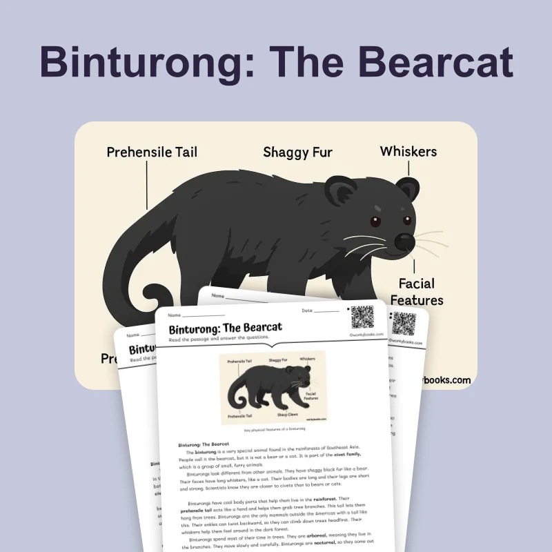 Binturong the Bearcat — science — reading comprehension for Grade 6, page 1 of 4
