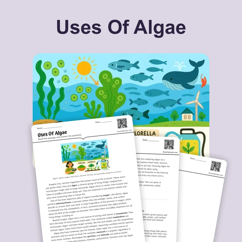 Uses Of Algae — science — reading comprehension for Grade 6, page 1 of 4