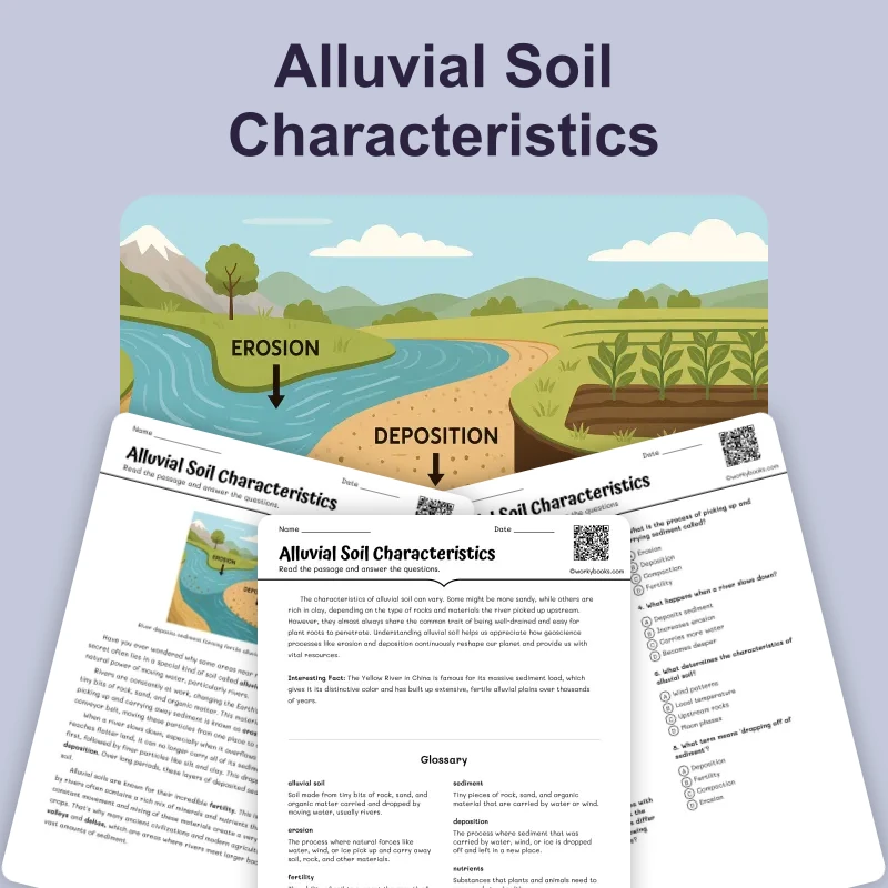 Alluvial Soil Characteristics — science — reading comprehension for Grade 6, page 1 of 4