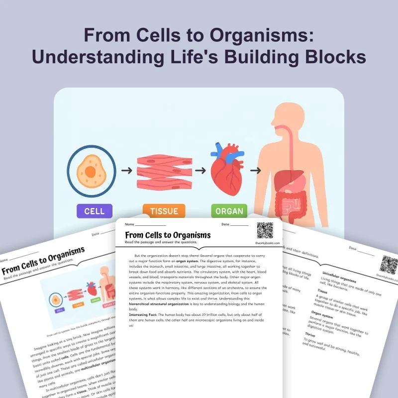 From Cells to Organisms — science — reading comprehension for Grade 6, page 1 of 4