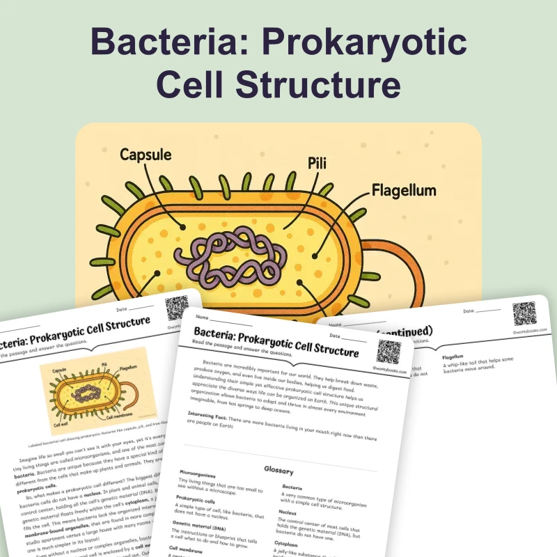 Bacteria: Prokaryotic Cell Structure — science — reading comprehension for Grade 6, page 1 of 4