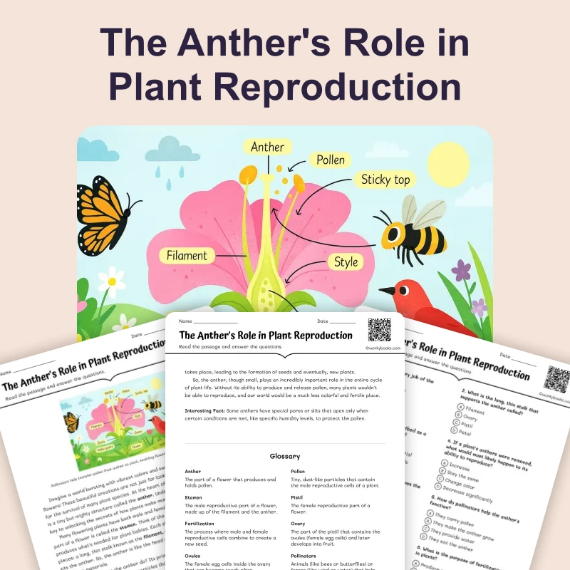 Anther's Role in Plant Reproduction — science — reading comprehension for Grade 6, page 1 of 4