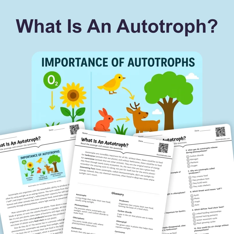 What Is An Autotroph — science — reading comprehension for Grade 6, page 1 of 4