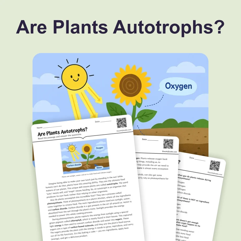 Are Plants Autotrophs — science — reading comprehension for Grade 6, page 1 of 4