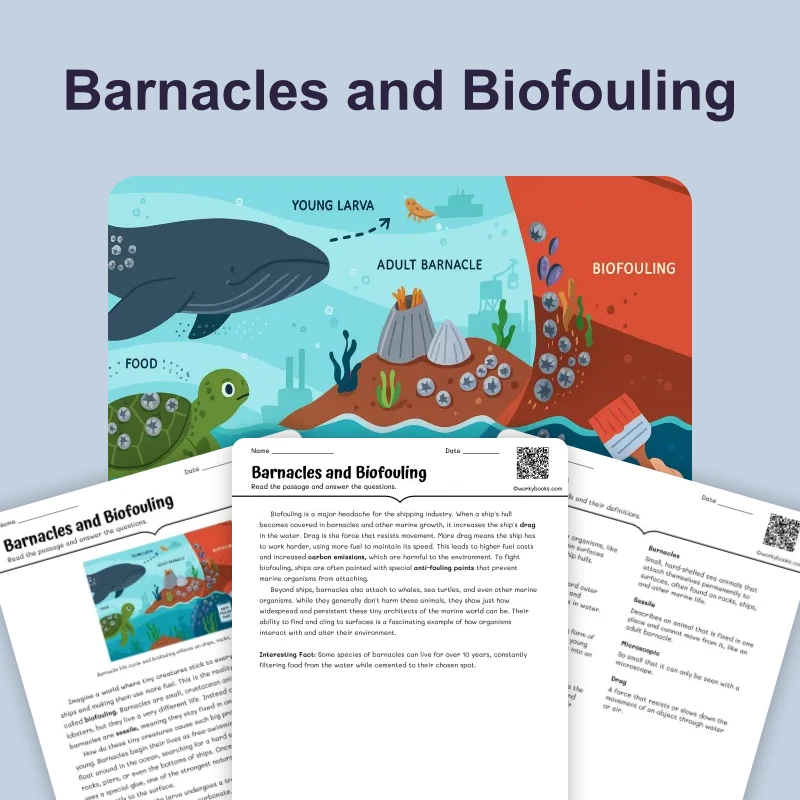 Barnacles and Biofouling — science — reading comprehension for Grade 6, page 1 of 4