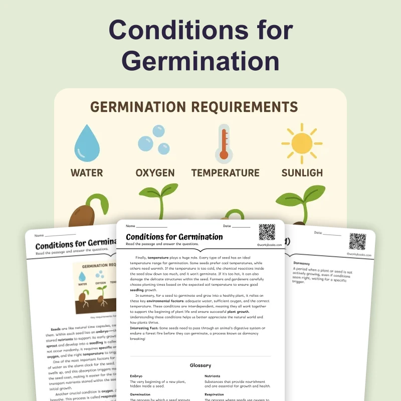 Conditions for Germination — science — reading comprehension for Grade 6, page 1 of 4