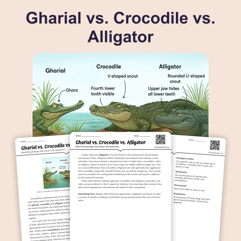 Gharial vs. Crocodile vs. Alligator — science — reading comprehension for Grade 6, page 1 of 4