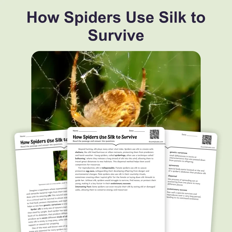 Spiders Silk Strength — science — reading comprehension for Grade 6, page 1 of 4