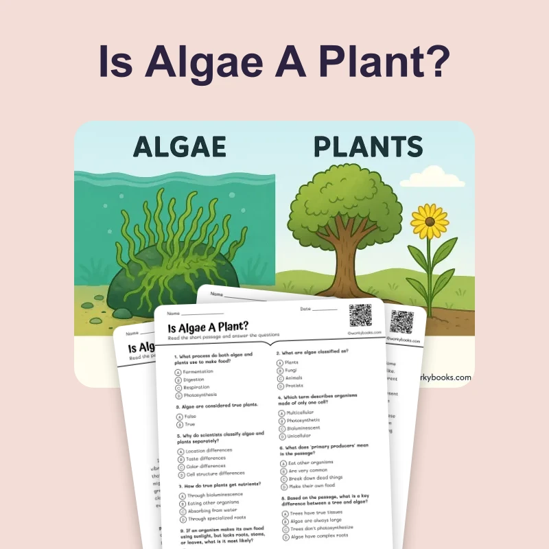 Is Algae A Plant — science — reading comprehension for Grade 6, page 1 of 4