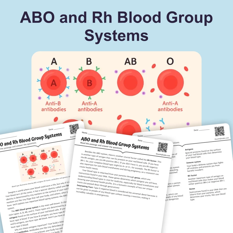 ABO and Rh Blood Group Systems — science — reading comprehension for Grade 6, page 1 of 4