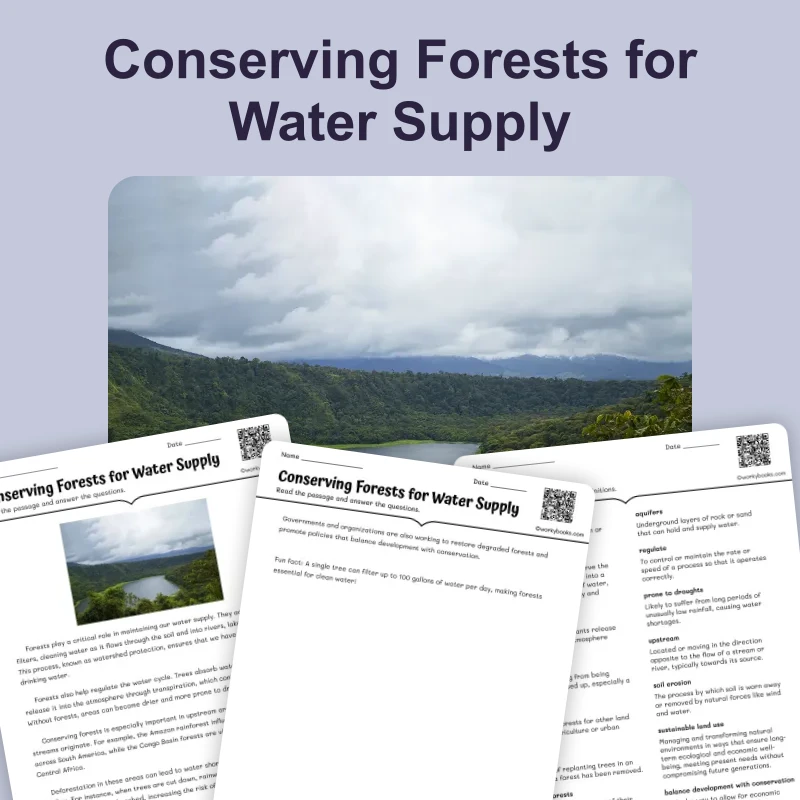Conserving Forests for Water Supply — ela — reading comprehension for Grade 6, Grade 7, Grade 8, Grade 9, page 1 of 4