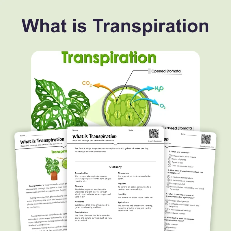 Transpiration — ela — reading comprehension for Grade 5, Grade 6, Grade 7, Grade 8, page 1 of 4