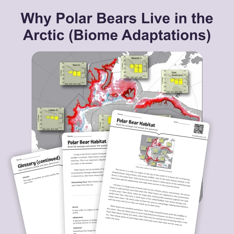 Polar Bear Habitat — science — reading comprehension for Grade 5, Grade 6, Grade 7, Grade 8, page 1 of 4