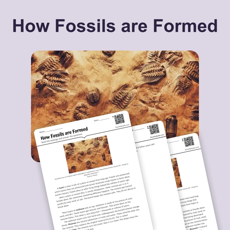 How Fossil are Formed — science — reading comprehension for Grade 3, Grade 4, Grade 5, Grade 6, page 1 of 4