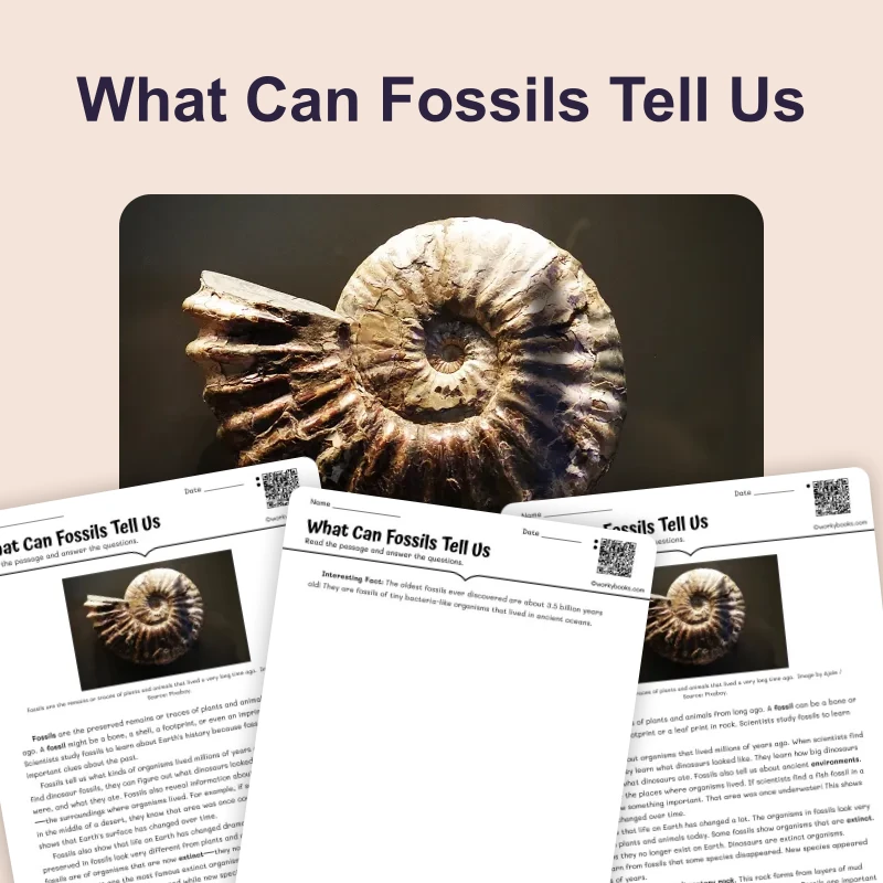 What Can Fossils Tell Us — science — reading comprehension for Grade 3, Grade 4, Grade 5, Grade 6, page 1 of 4