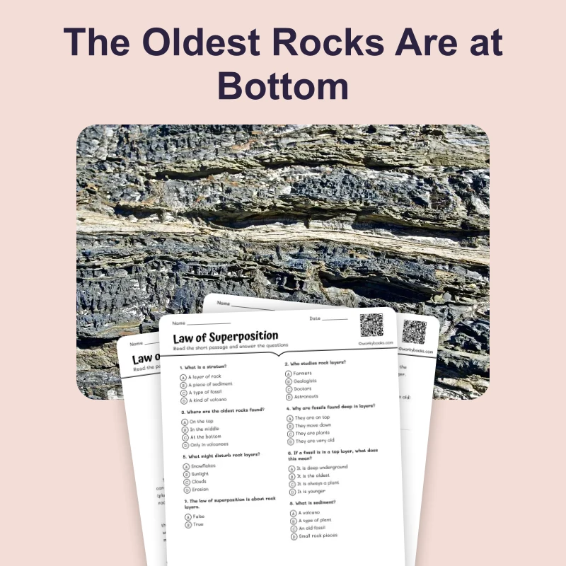 The Oldest Rocks Are at Bottom — science — reading comprehension for Grade 3, Grade 4, Grade 5, Grade 6, page 1 of 4