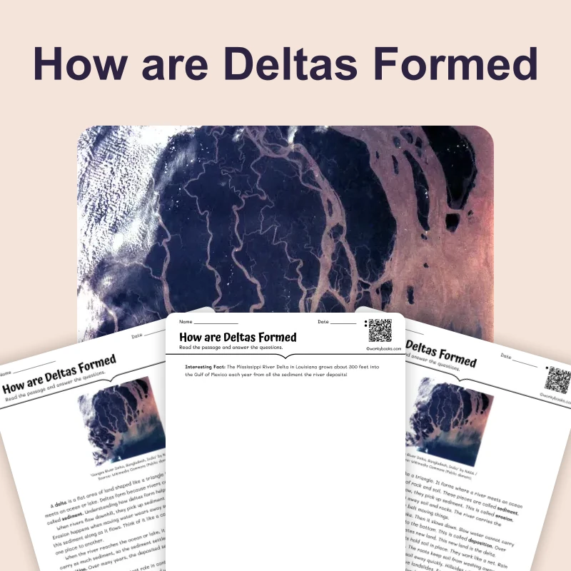How are Deltas Formed — science — reading comprehension for Grade 3, Grade 4, Grade 5, Grade 6, page 1 of 4