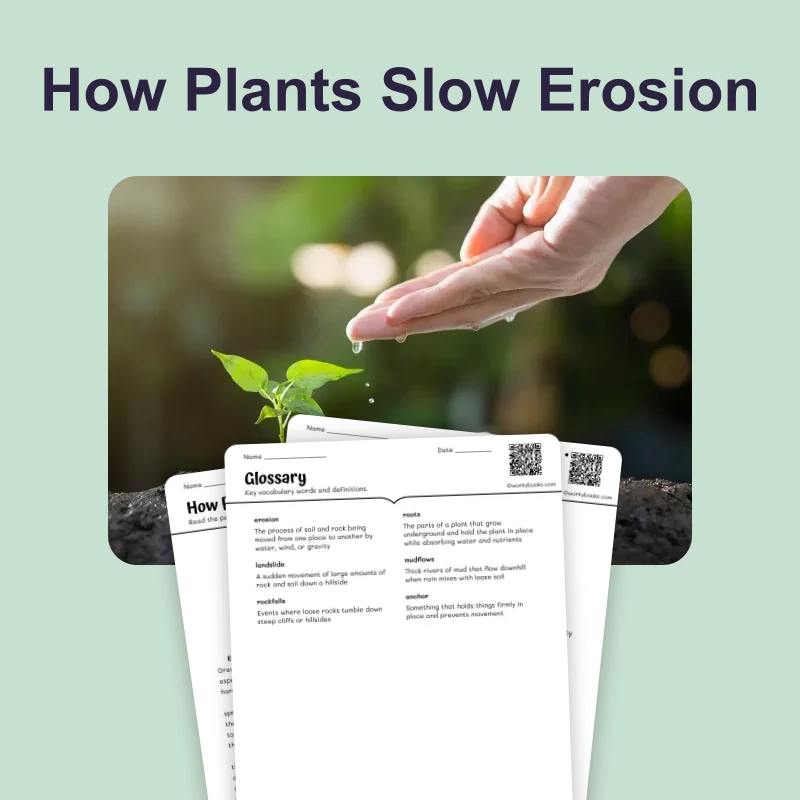 Plants Help Stop Soil Erosion — science — reading comprehension for Grade 3, Grade 4, Grade 5, Grade 6, page 1 of 4