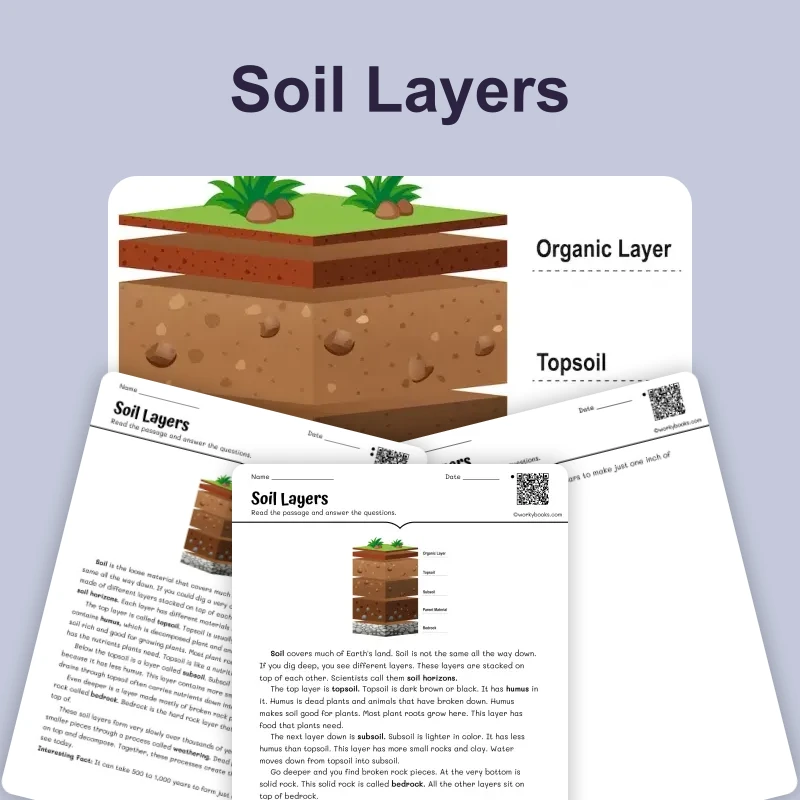 Soil Layers — science — reading comprehension for Grade 3, Grade 4, Grade 5, page 1 of 4