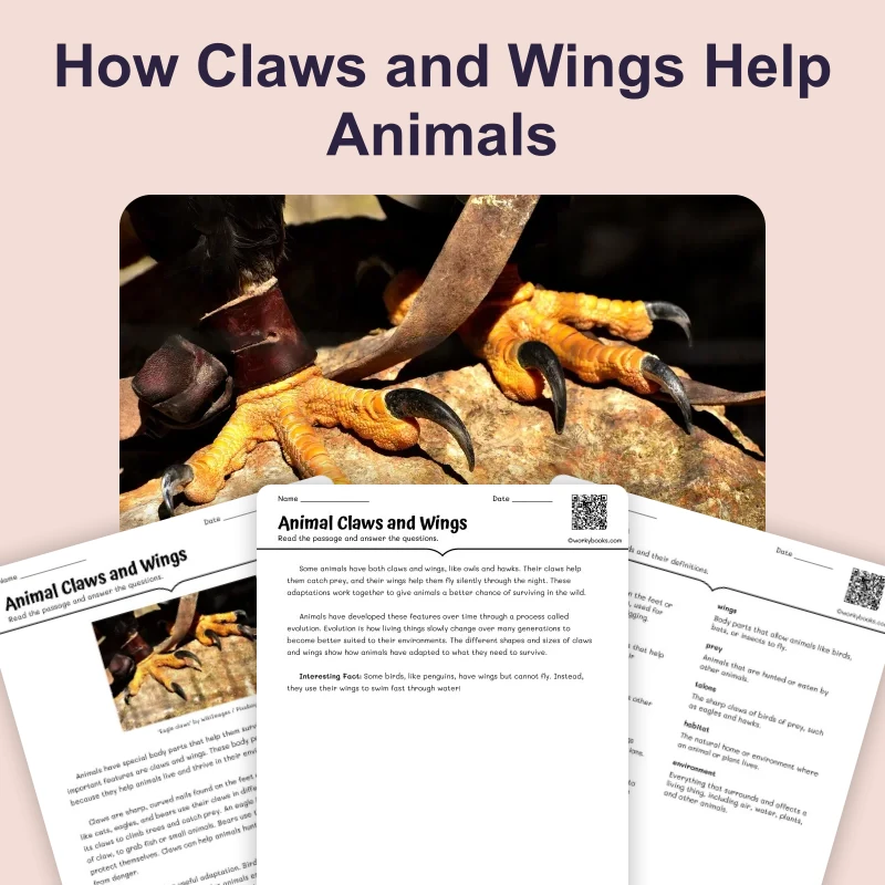 Animal Claws and Wings — science — reading comprehension for Grade 3, Grade 4, Grade 5, Grade 6, page 1 of 4