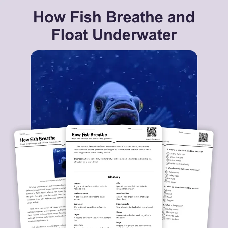 How Fish Breathe — science — reading comprehension for Grade 3, Grade 4, Grade 5, Grade 6, page 1 of 4