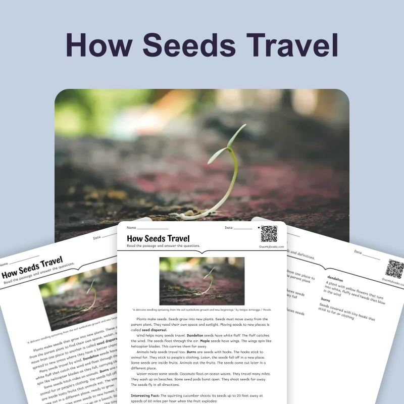How Seeds Travel — science — reading comprehension for Grade 3, Grade 4, Grade 5, Grade 6, page 1 of 4