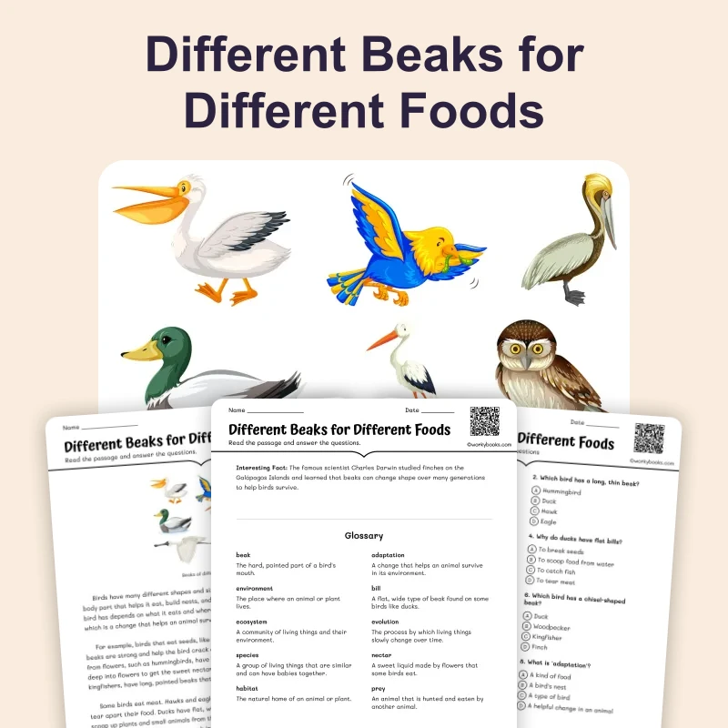 Different Beaks for Different Foods — science — reading comprehension for Grade 3, Grade 4, Grade 5, Grade 6, page 1 of 4
