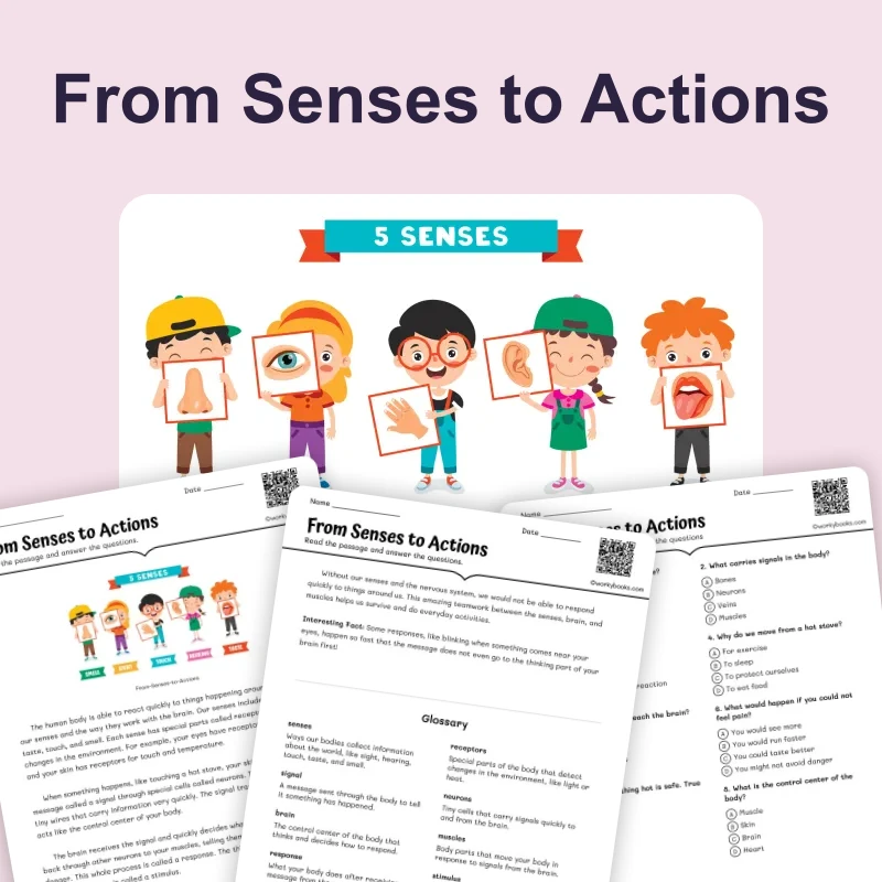 Understanding Reflexes — science — reading comprehension for Grade 3, Grade 4, Grade 5, Grade 6, page 1 of 4