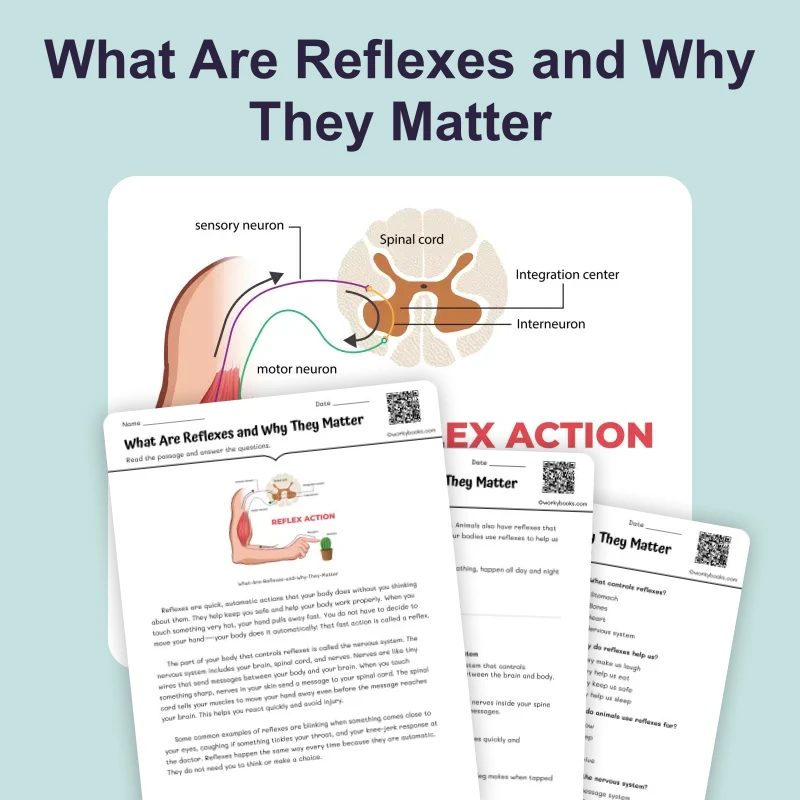 What Are Reflexes — science — reading comprehension for Grade 3, Grade 4, Grade 5, Grade 6, page 1 of 4