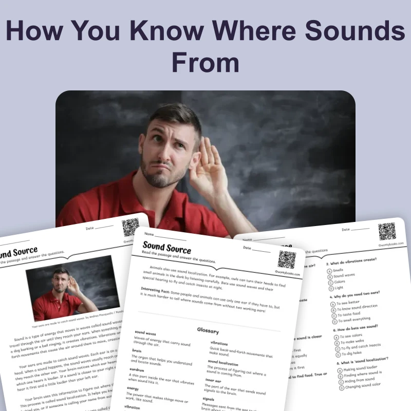 Sound Source — science — reading comprehension for Grade 3, Grade 4, Grade 5, Grade 6, page 1 of 4