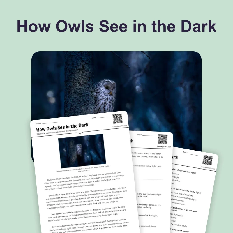 How Owls See in the Dark — science — reading comprehension for Grade 3, Grade 4, Grade 5, Grade 6, page 1 of 4