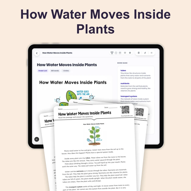How Water Moves Inside Plants — science — reading comprehension for Grade 3, Grade 4, Grade 5, page 1 of 4