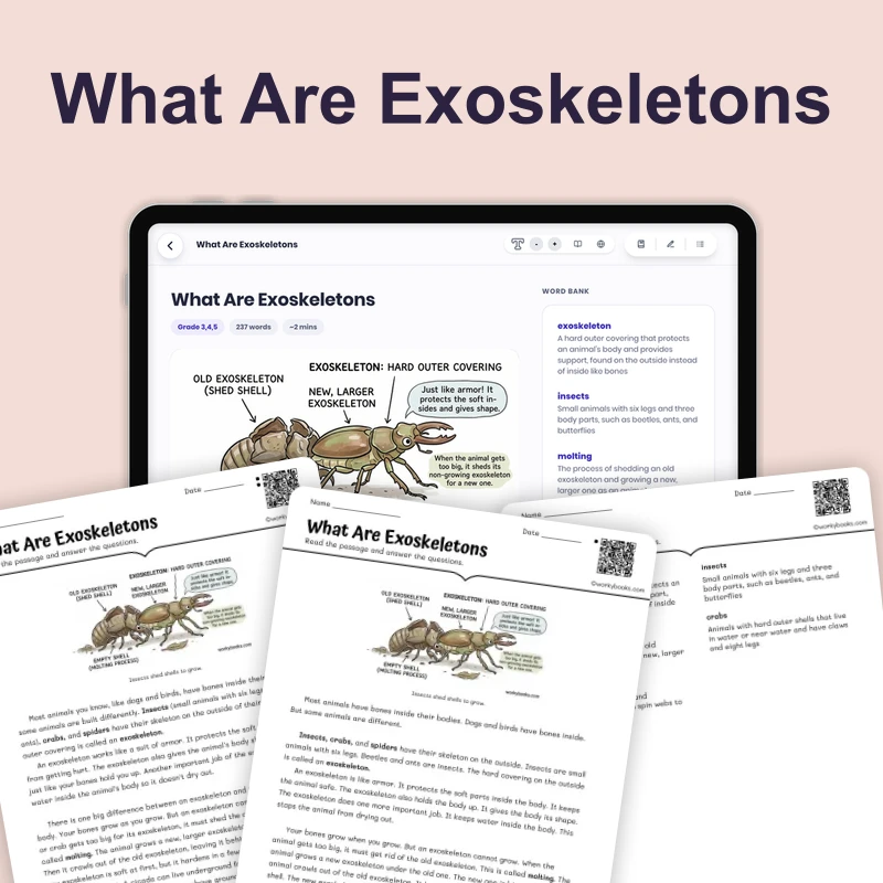 What Are Exoskeletons — science — reading comprehension for Grade 3, Grade 4, Grade 5, page 1 of 4