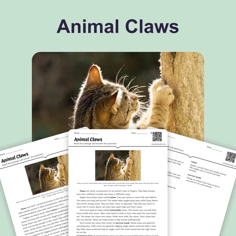 Animal Claws — science — reading comprehension for Grade 3, Grade 4, Grade 5, page 1 of 4