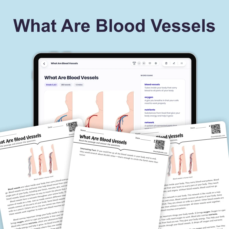 What Are Blood Vessels — science — reading comprehension for Grade 3, Grade 4, Grade 5, page 1 of 4