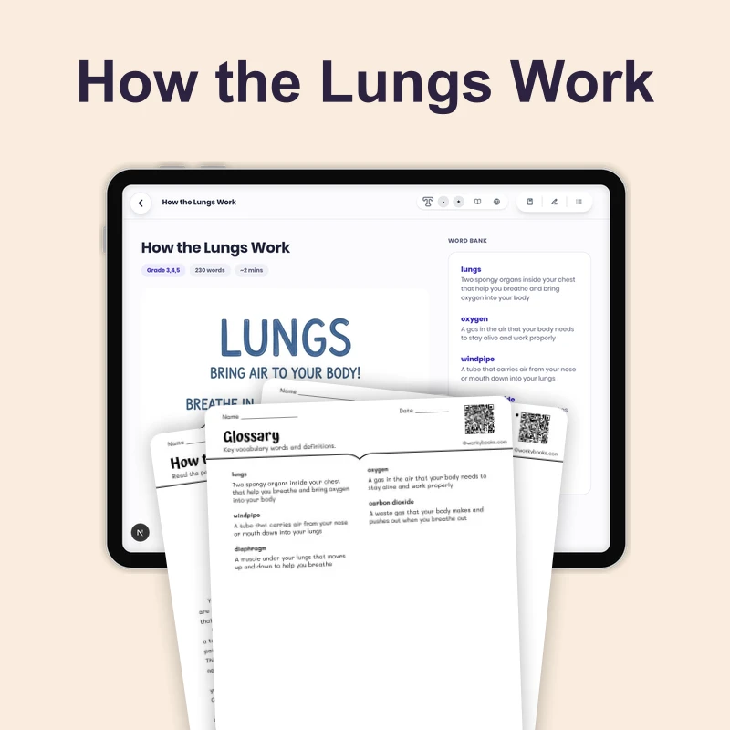 How the Lungs Work — science — reading comprehension for Grade 3, Grade 4, Grade 5, page 1 of 4