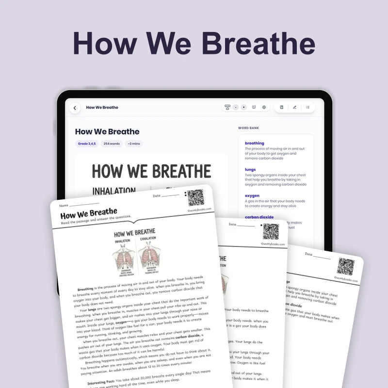 How We Breathe — science — reading comprehension for Grade 3, Grade 4, Grade 5, page 1 of 4